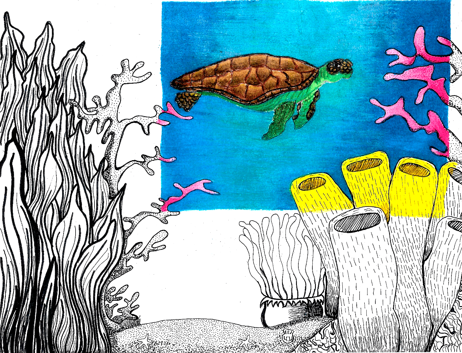 Seaworld art piece by Eunice Schwaab